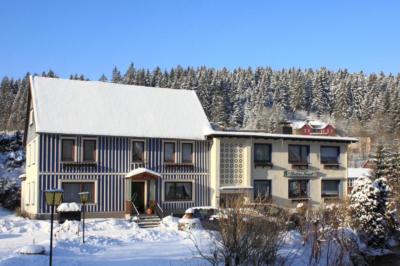 Haus Gruene Insel - Ferienwohnungen Altenau  Buitenkant foto