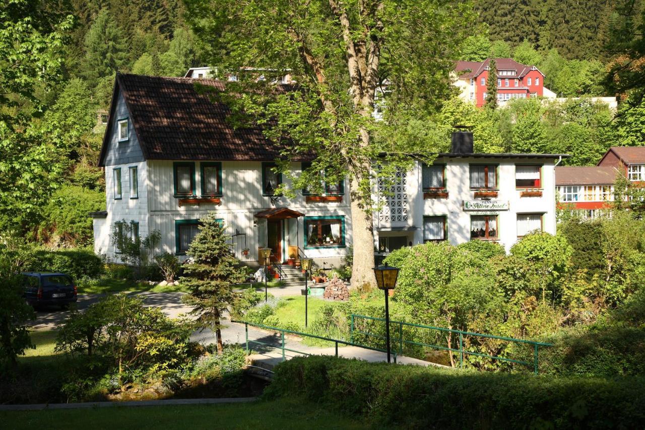 Haus Gruene Insel - Ferienwohnungen Altenau  Buitenkant foto