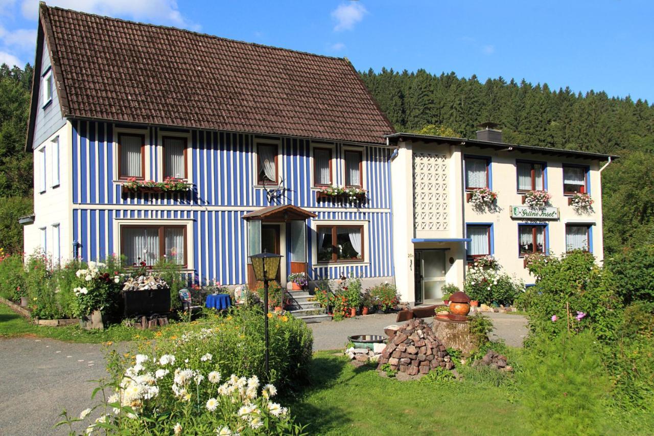 Haus Gruene Insel - Ferienwohnungen Altenau  Buitenkant foto