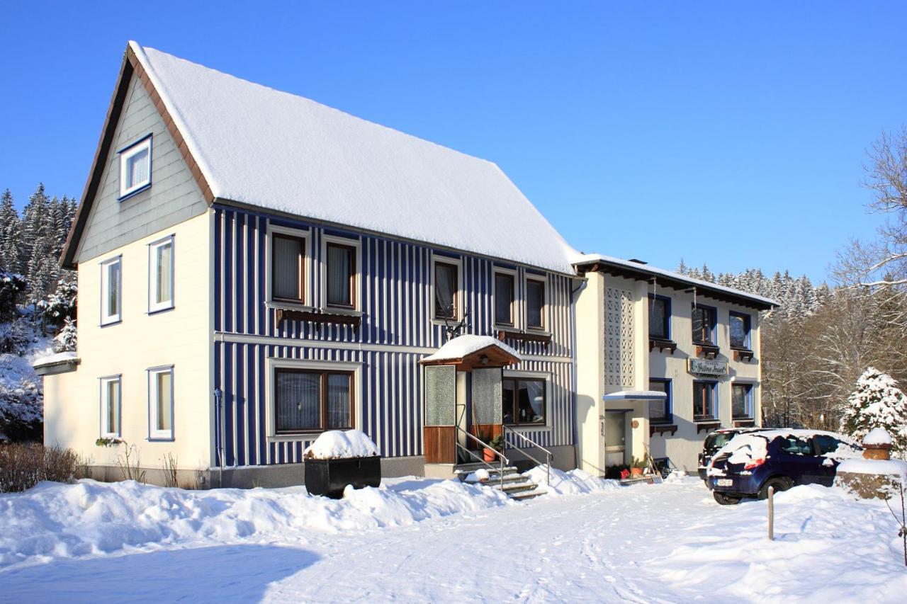 Haus Gruene Insel - Ferienwohnungen Altenau  Buitenkant foto